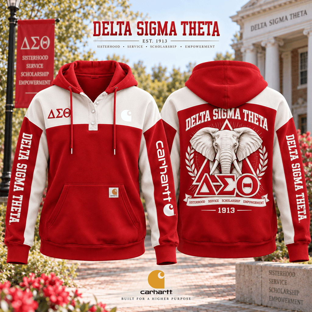 PREMIUM DST HOODIE COLOR BLOCK TTNL